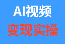 AI视频变现项目,完整详细教程20250628期-诺瓦小站