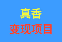 副业变现项目分享20250709期-诺瓦小站