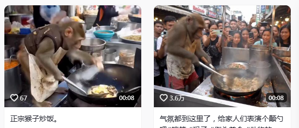 comfyui视频人物换主体工作流及模型下载-诺瓦小站